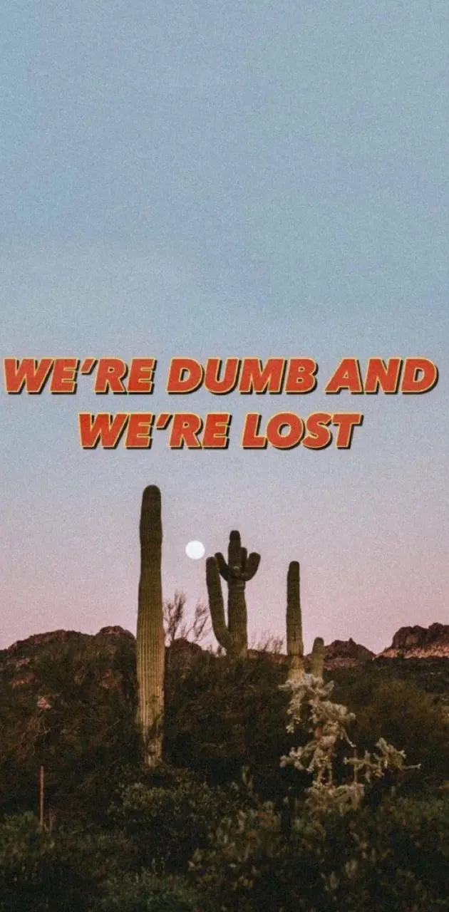 Dumb and lost 