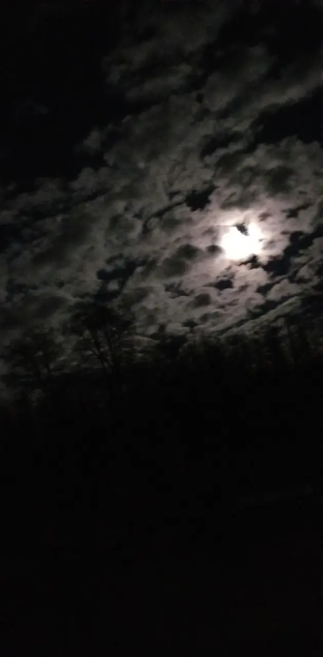 The skie at night 