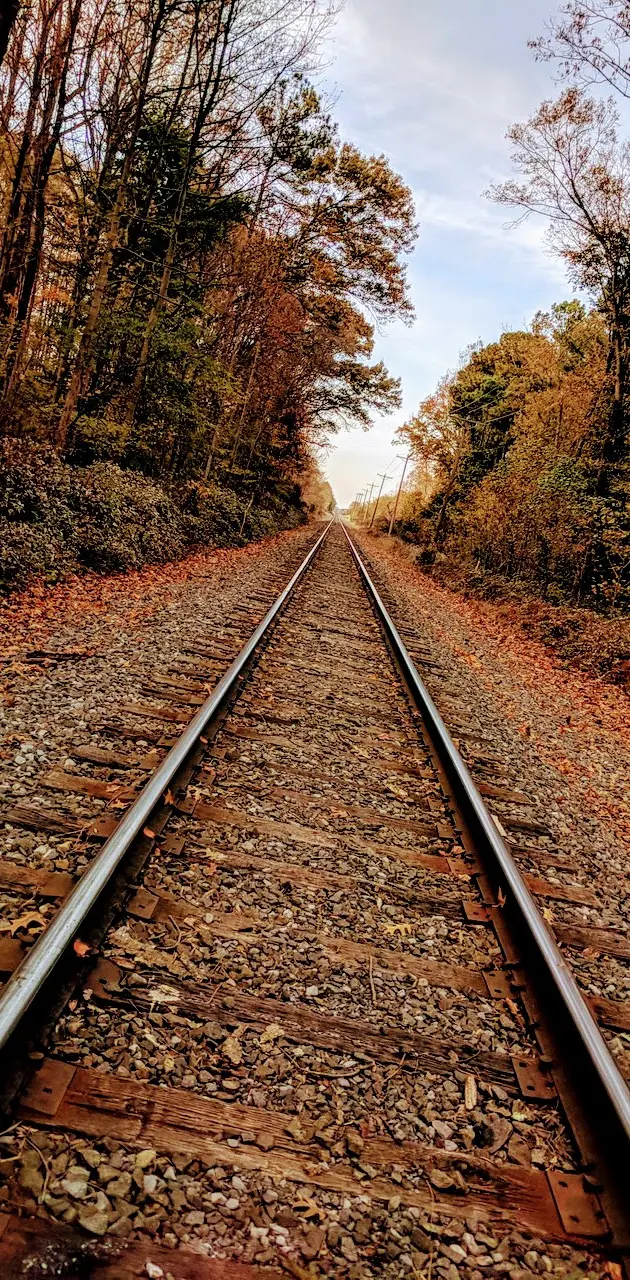 Fall tracks
