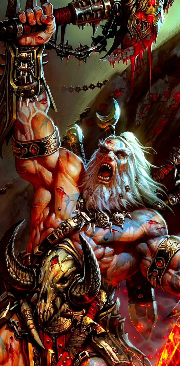 Diablo 3 - Warrior