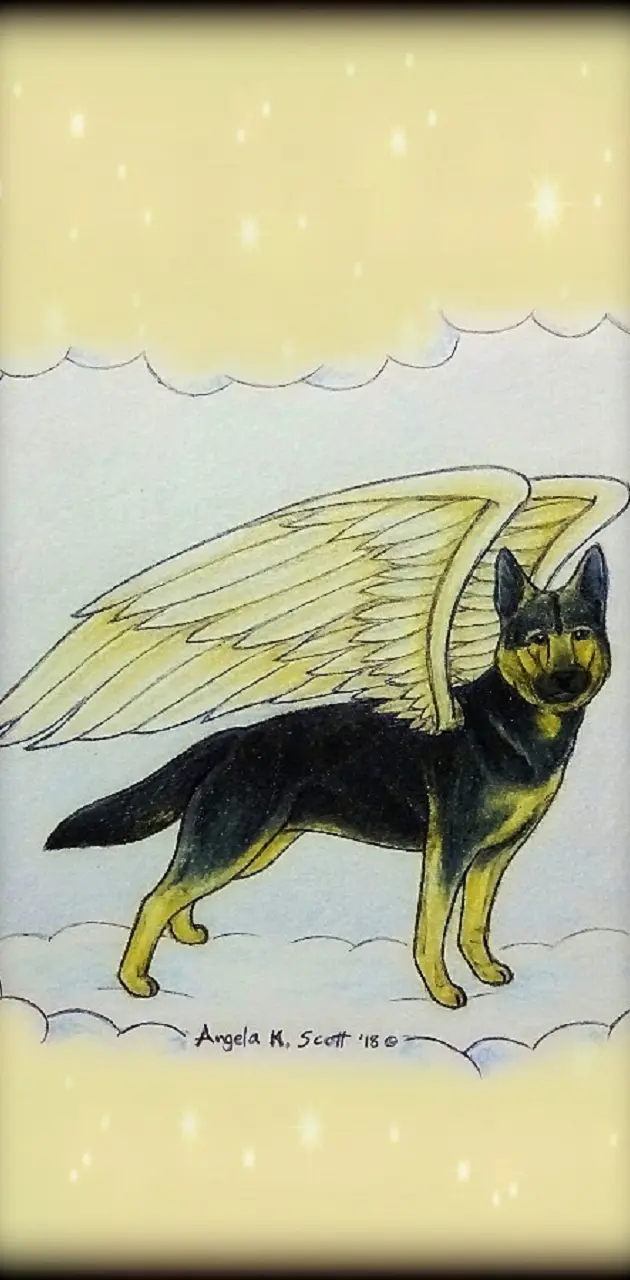 Shepherd Angel Dog