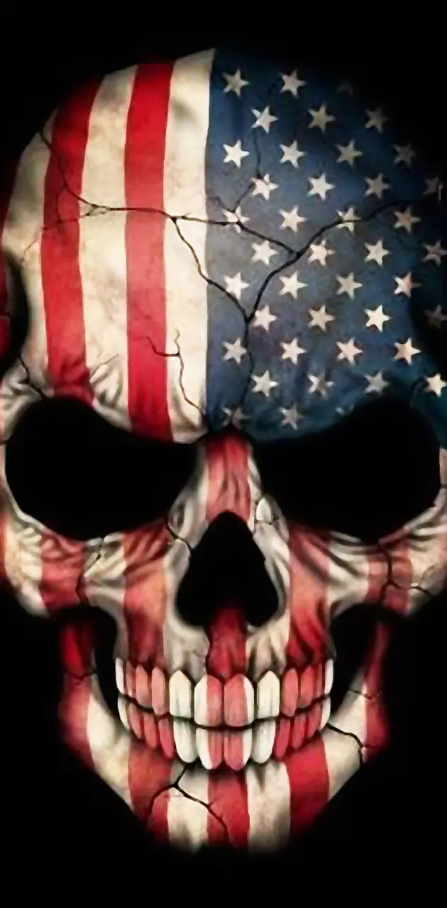 America Flag Skull