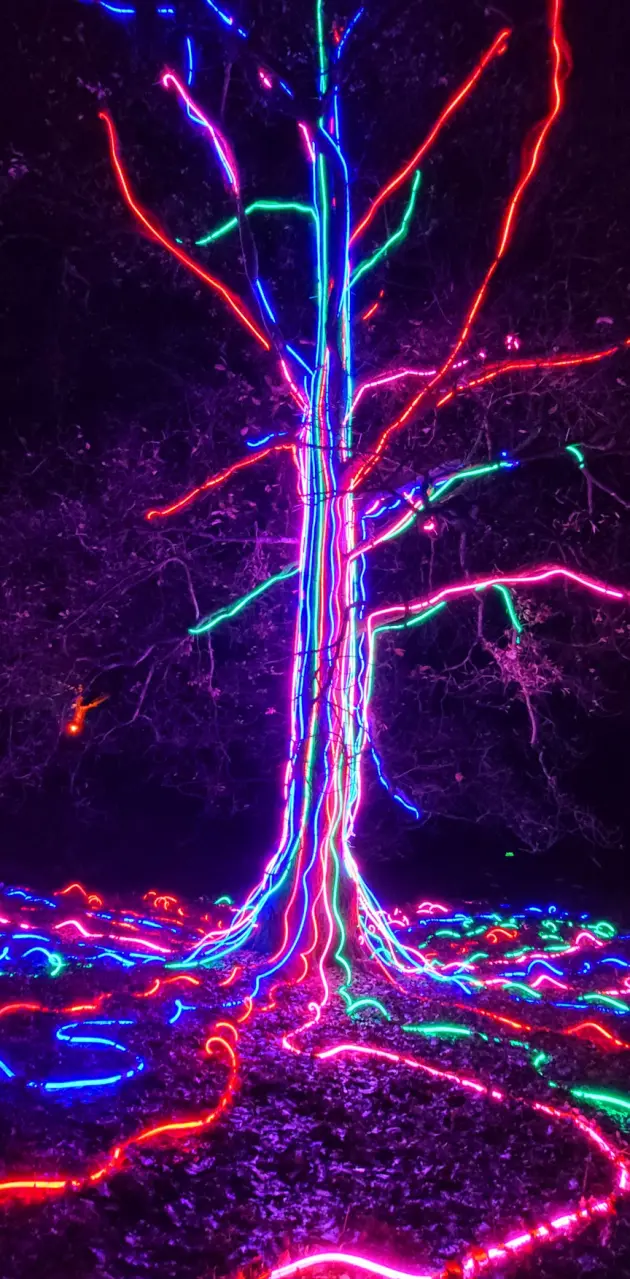 Neon Tree
