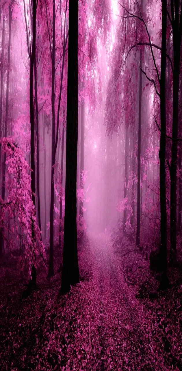 pink nature