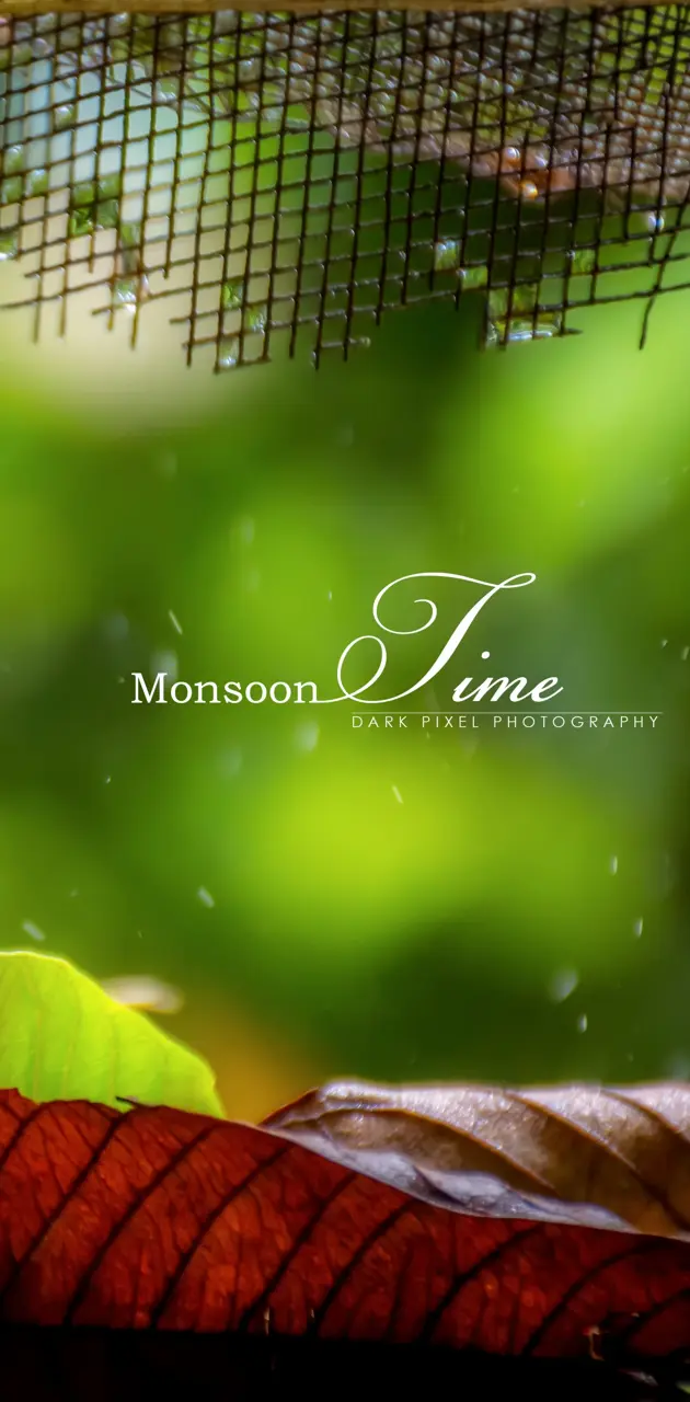Monsoon Time