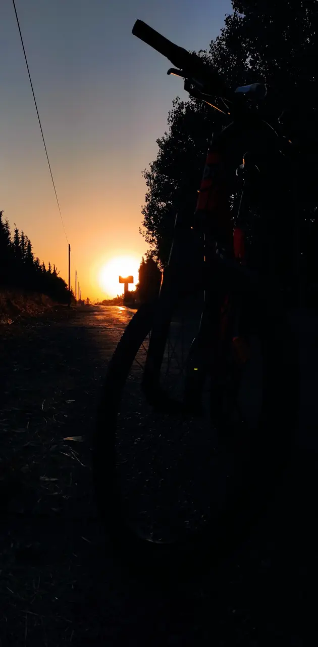 Bike sunset