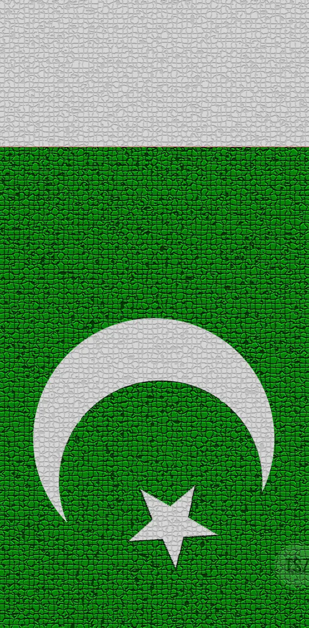 PAKISTAN FLAG
