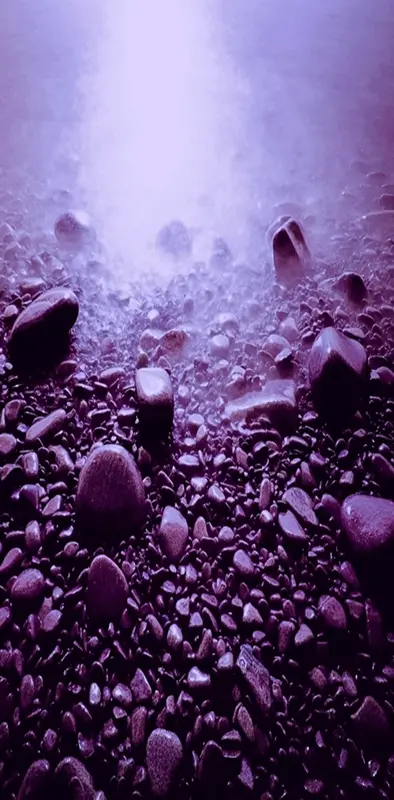 Purple Rocks