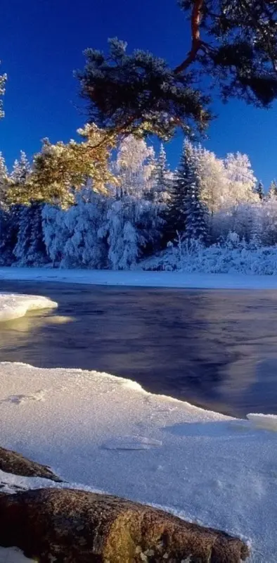 Cold Winter River
