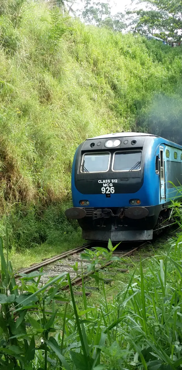 Train in Nuwaraeliya
