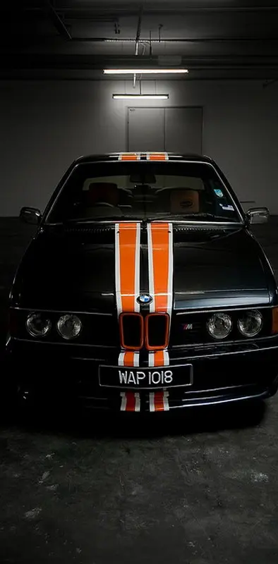 BMW E24