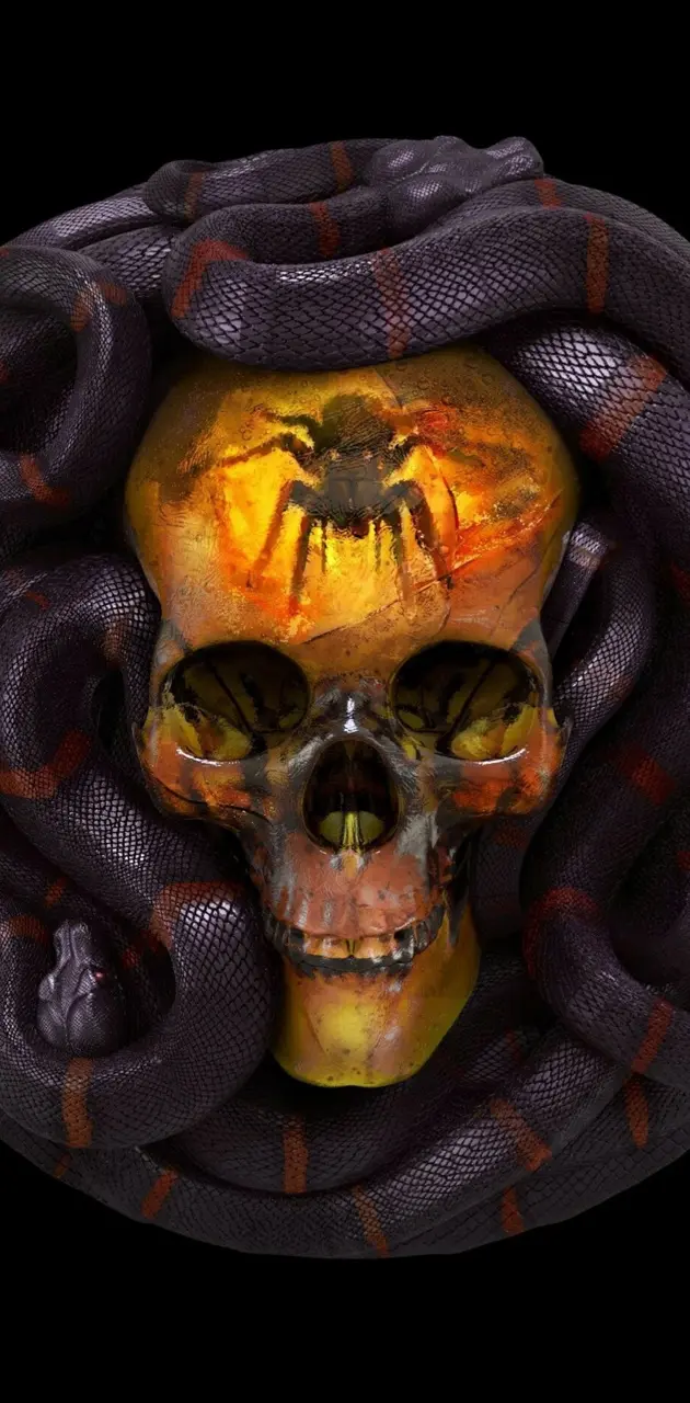 Snake And Skull