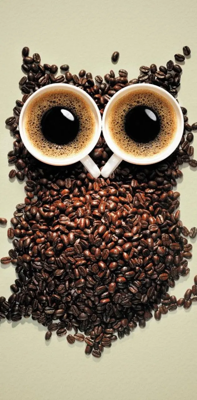 Coffe Bean Owl