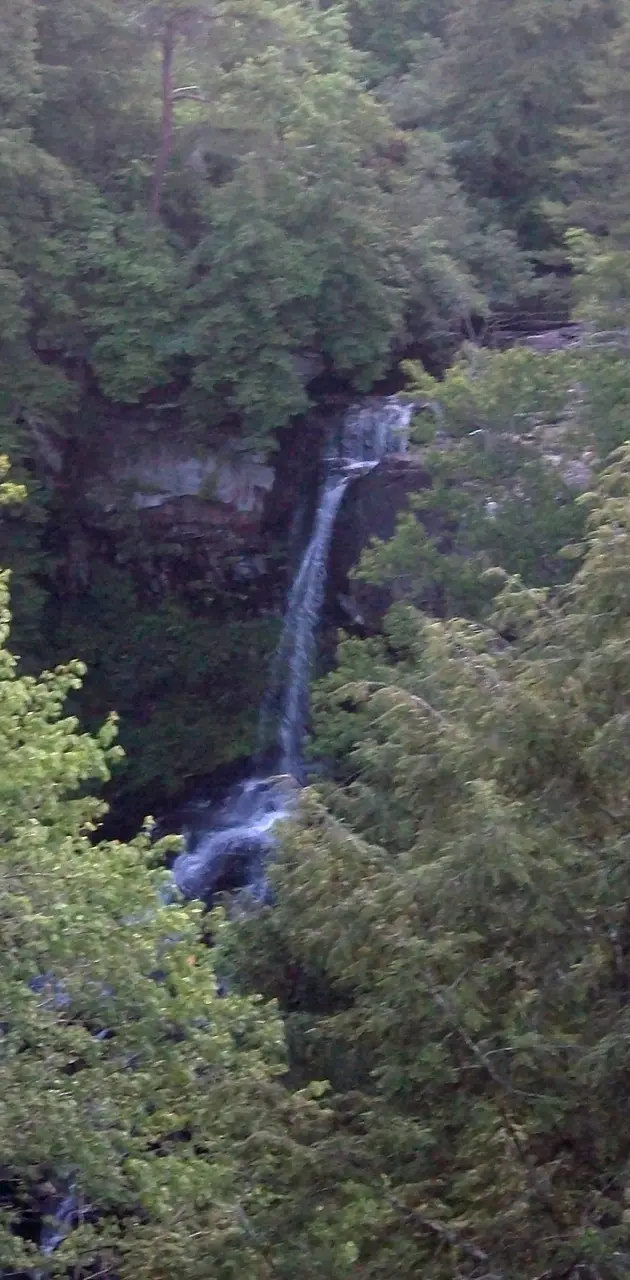 Piney Falls