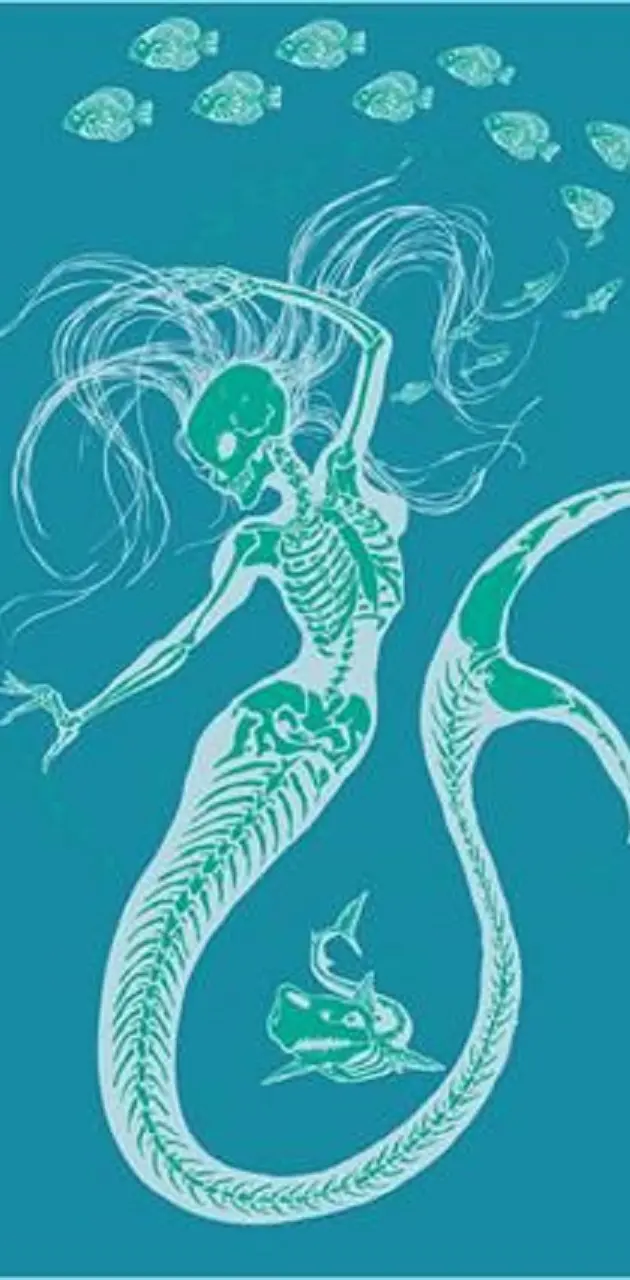 mermaid skeleton