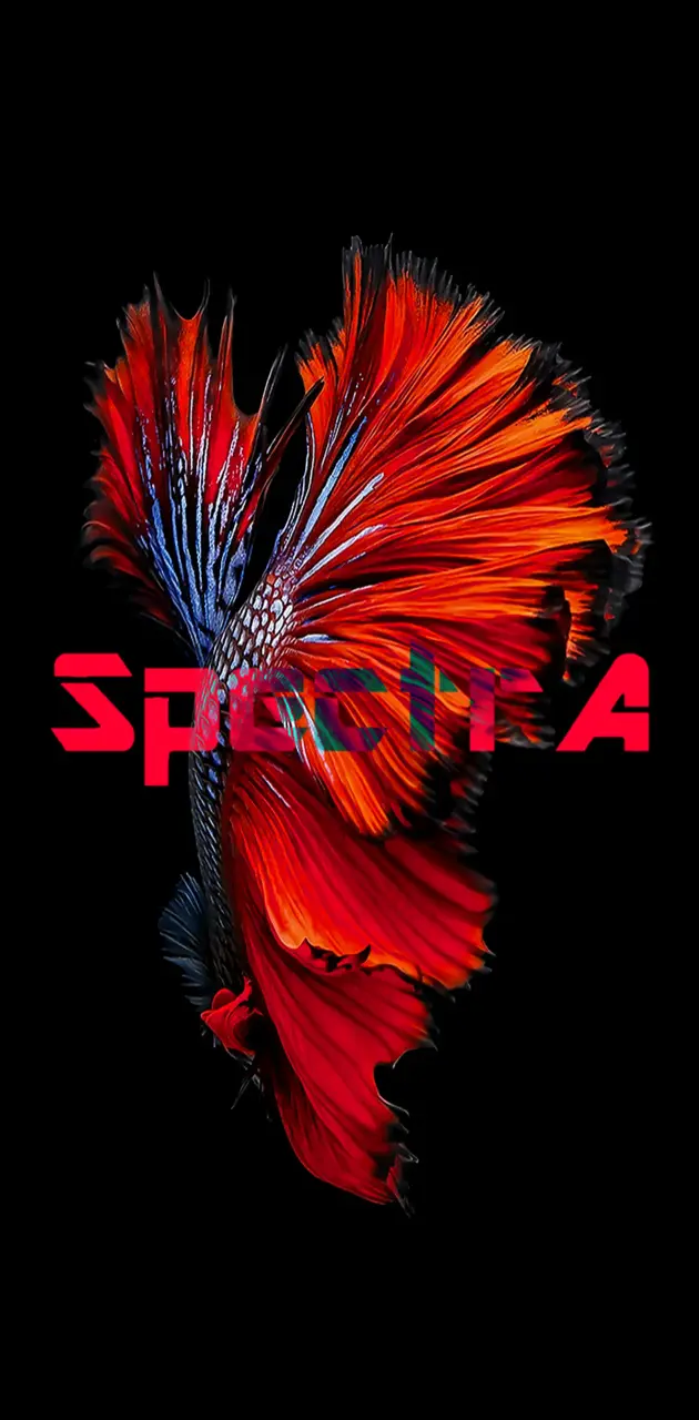 SpectrA Fish 2