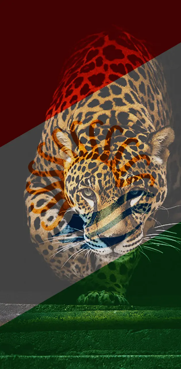 Talysh Flag Leopard