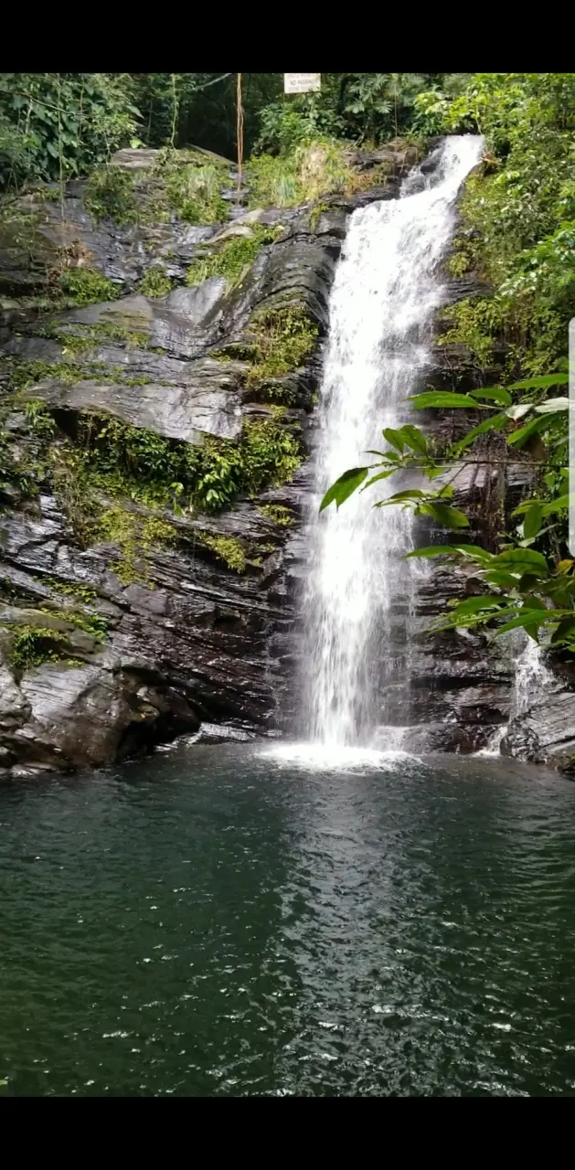 Belize Waterfall