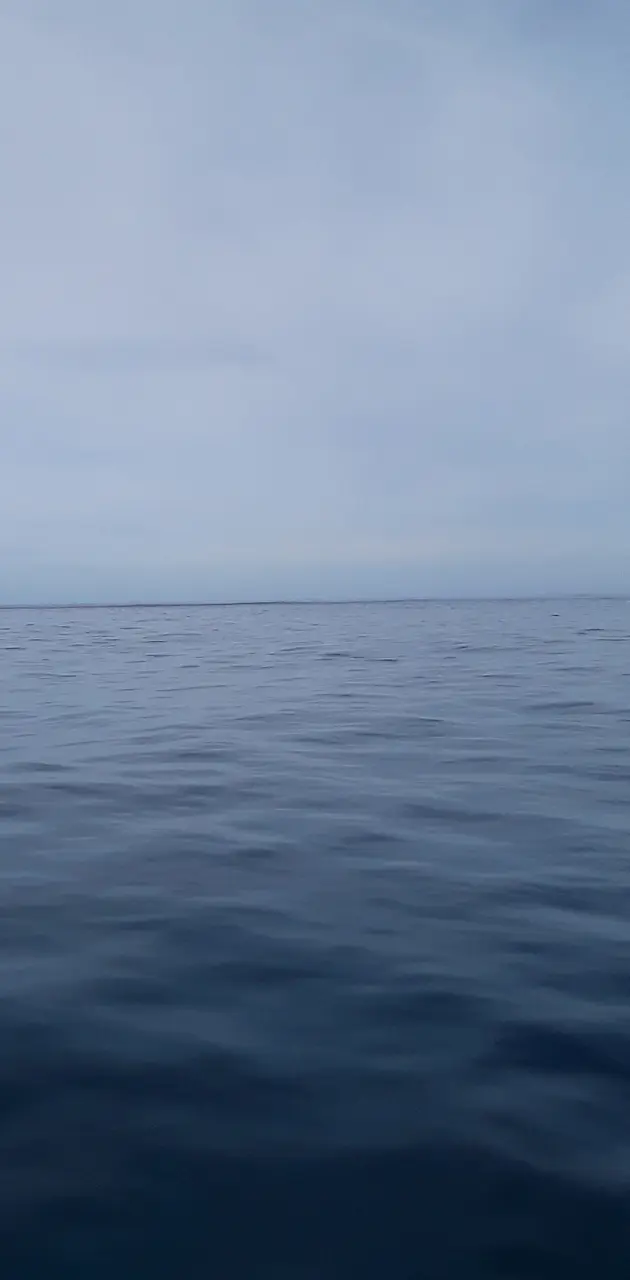 Calm hawiian ocean