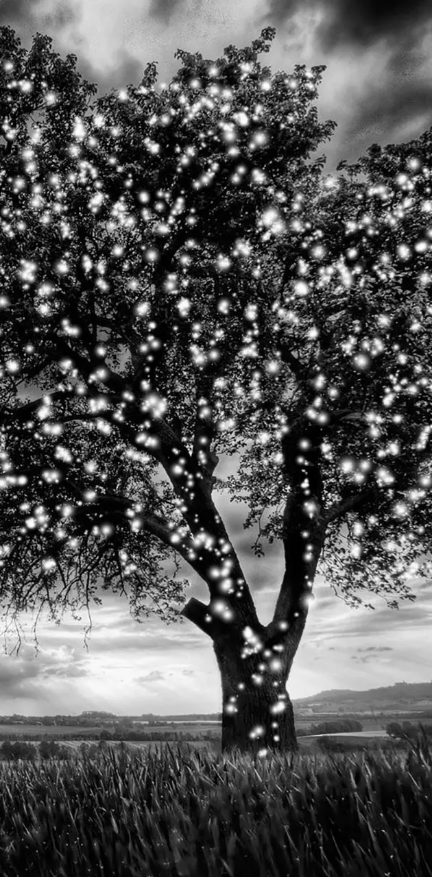 light tree
