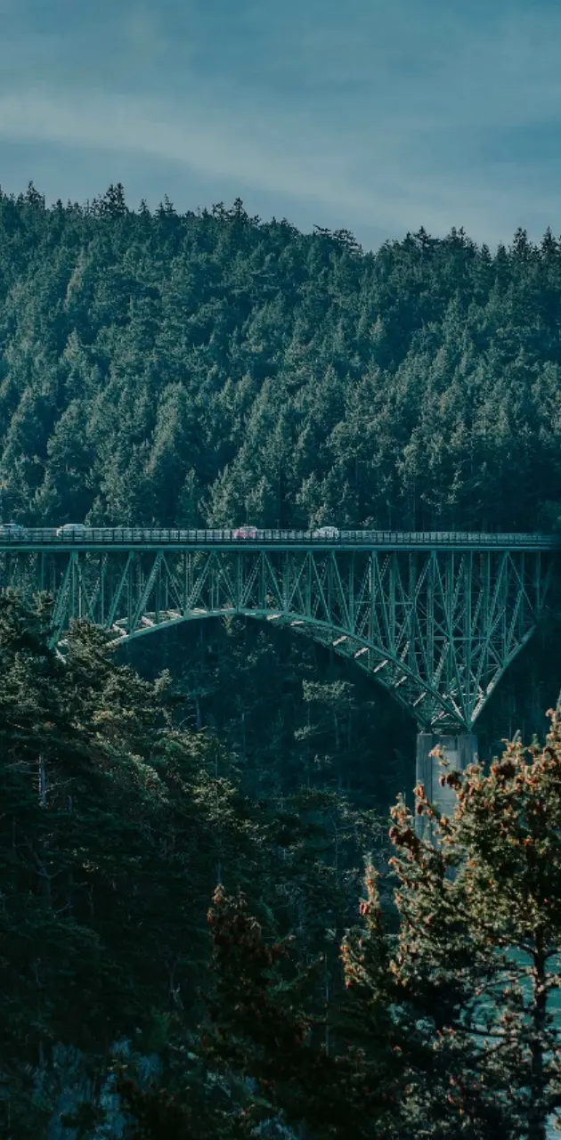 Bridge on a mountain