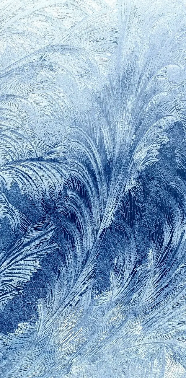 Frosty Pattern