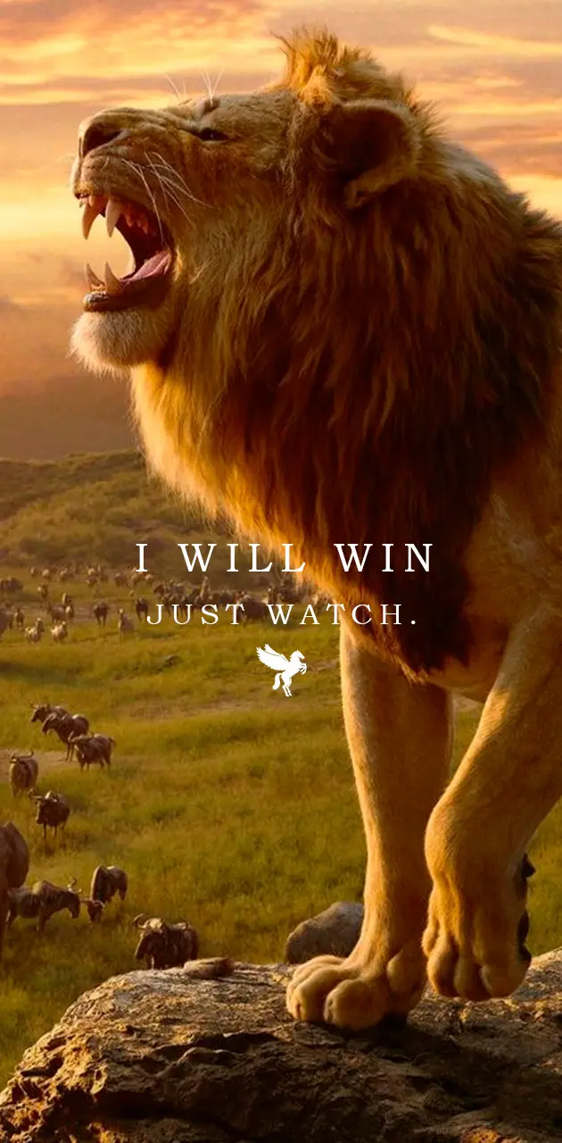 Pegasus I will win.
