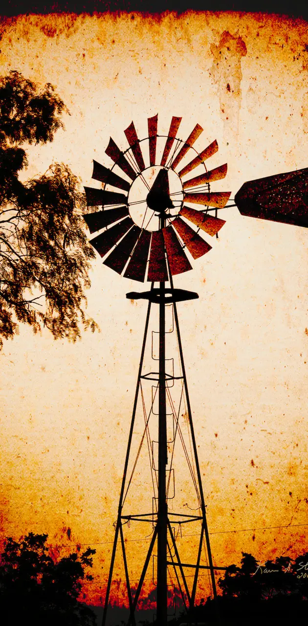 BSI Texas Windmill