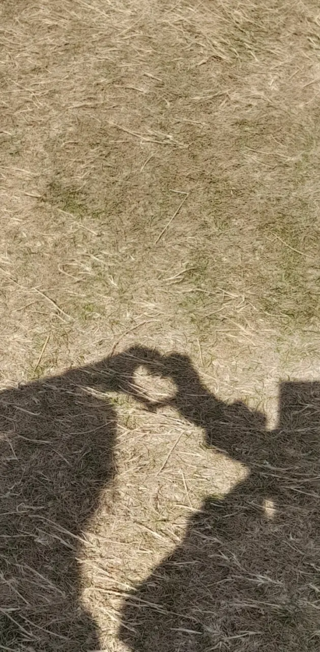 Heart shadow