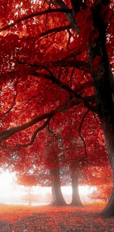 Red Nature