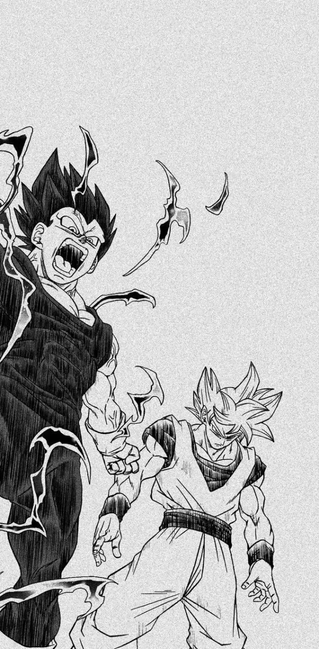Goku and Vegeta 