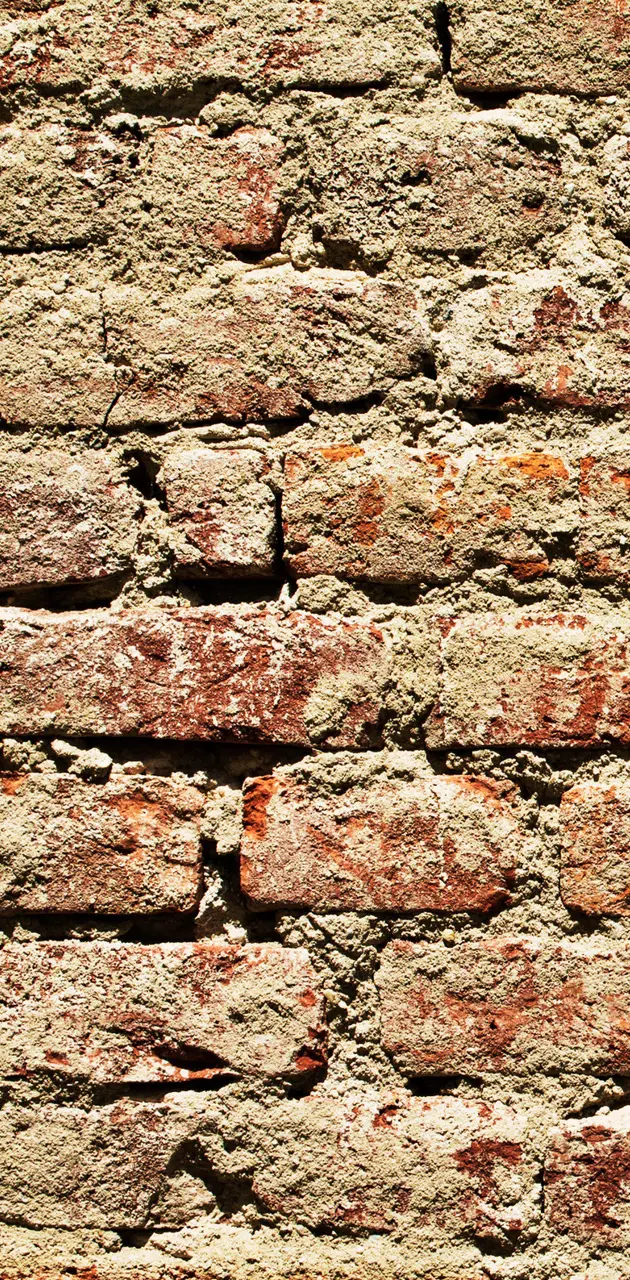Old Bricks