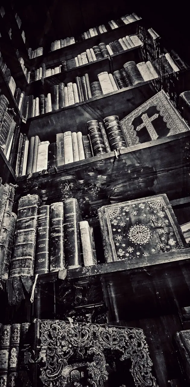Biblioteca libros