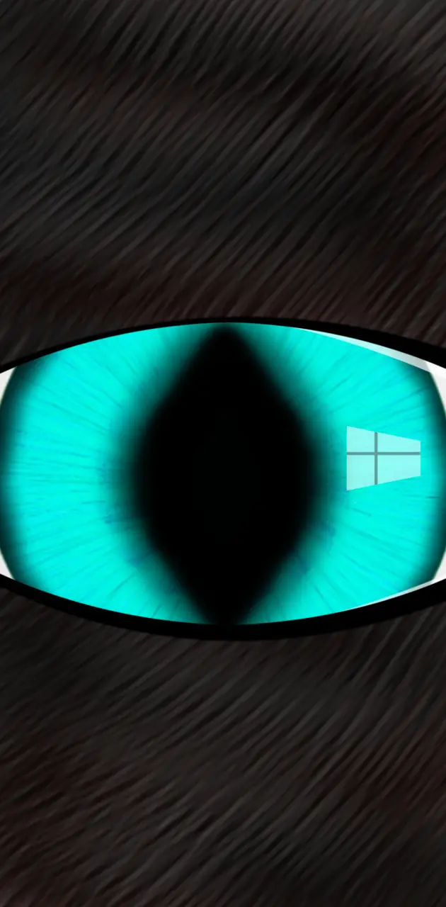 Blue Cat Eye