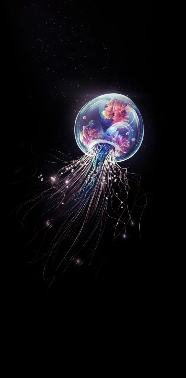 Colorfull Jelly Fish