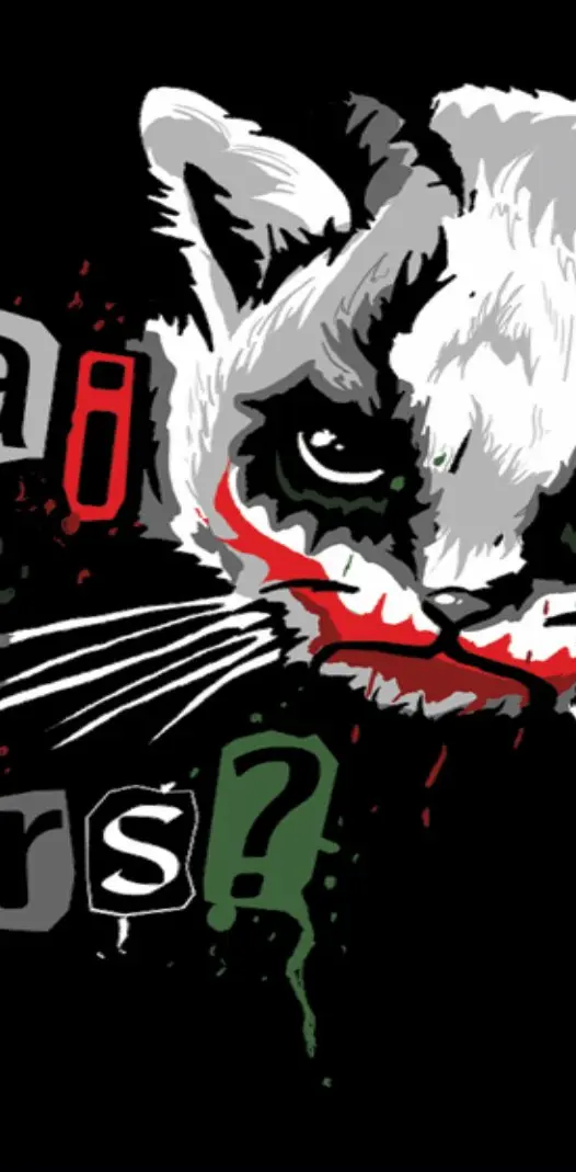 Jokers Cat