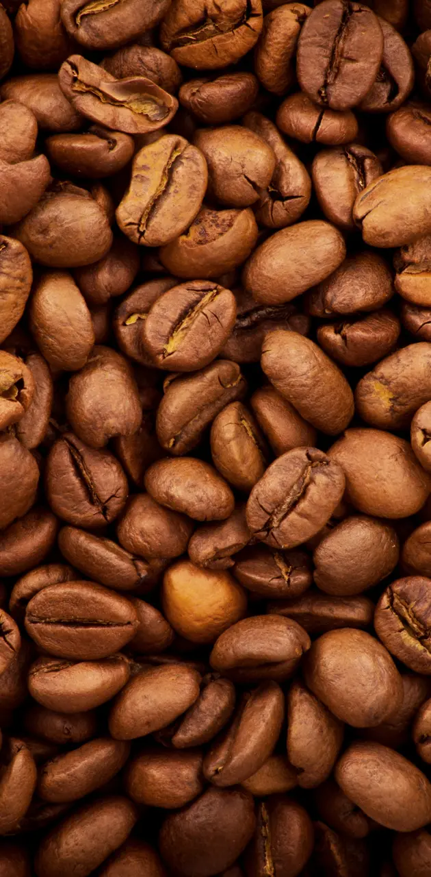 Caffee Beans