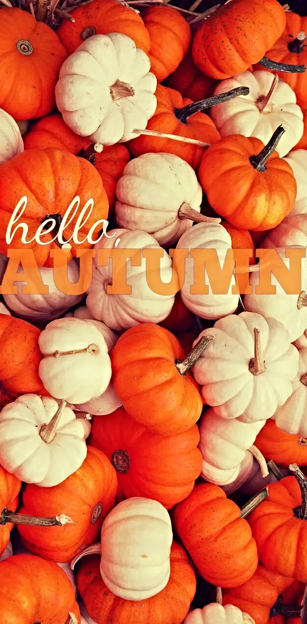 Hello Autumn 