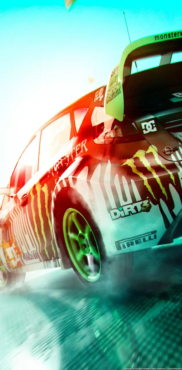 Dirt 3 Rally Race