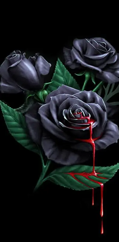 bleeding black rose wallpaper