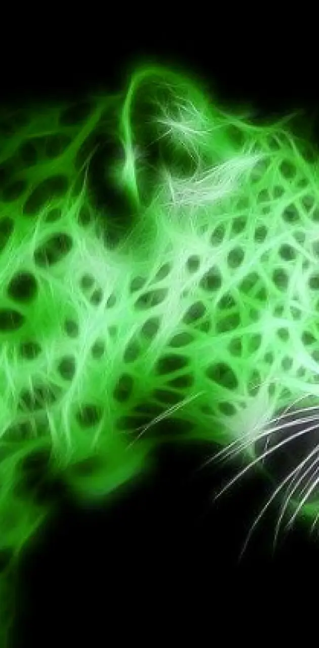 Leopard fractal