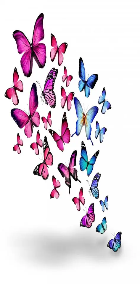 Butterflies Abstract