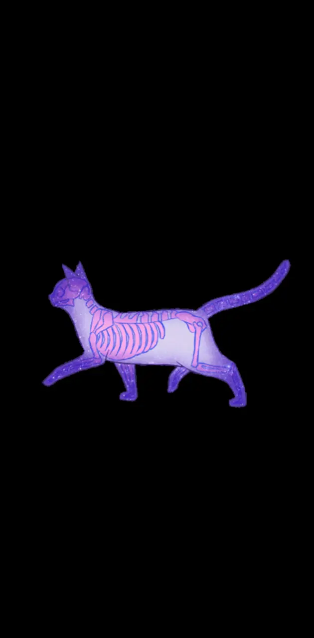 Skeleton cat pastel
