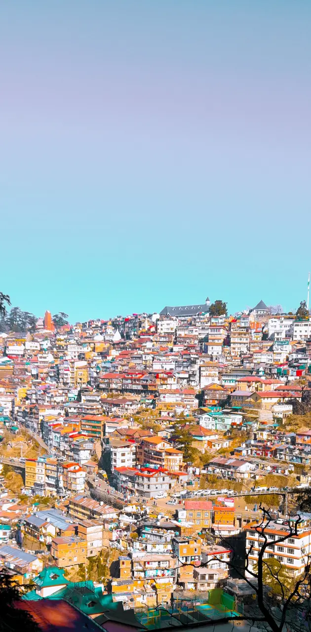 Shimla City