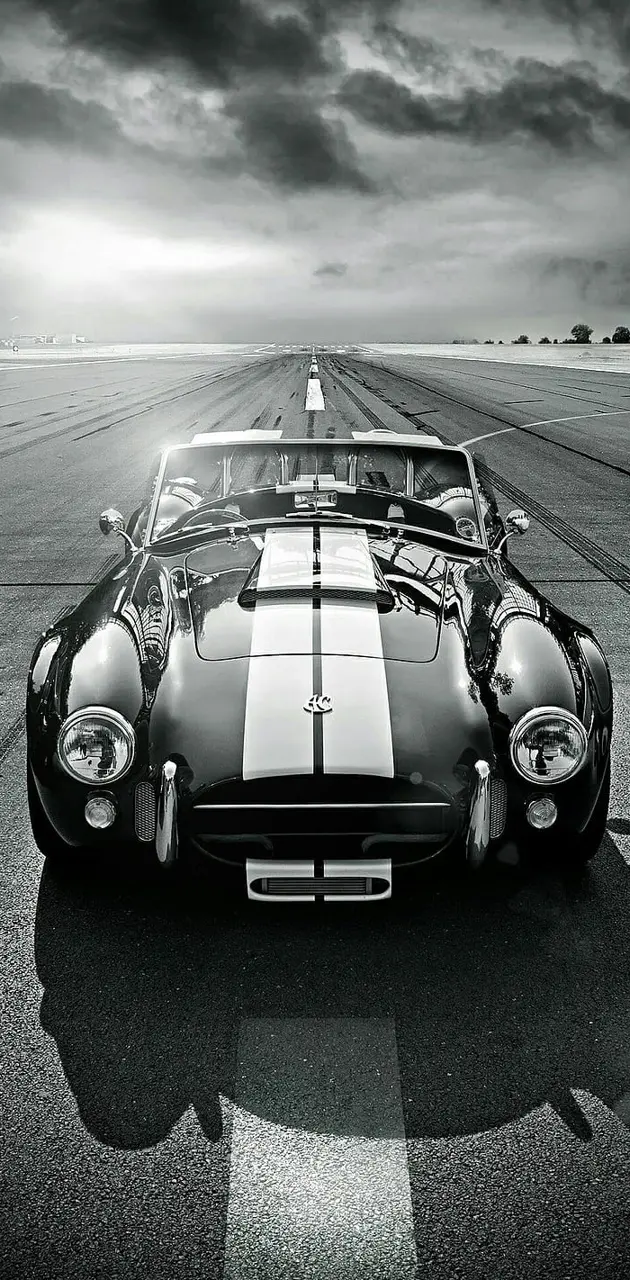Black and white Shelby
