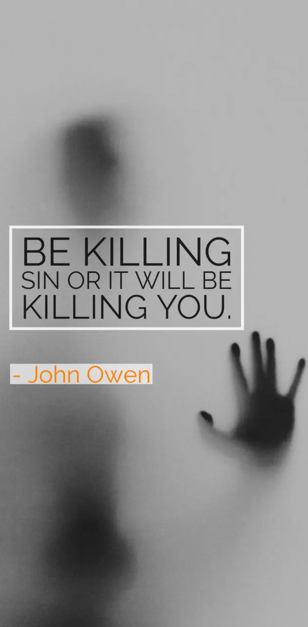 John Owen Sin