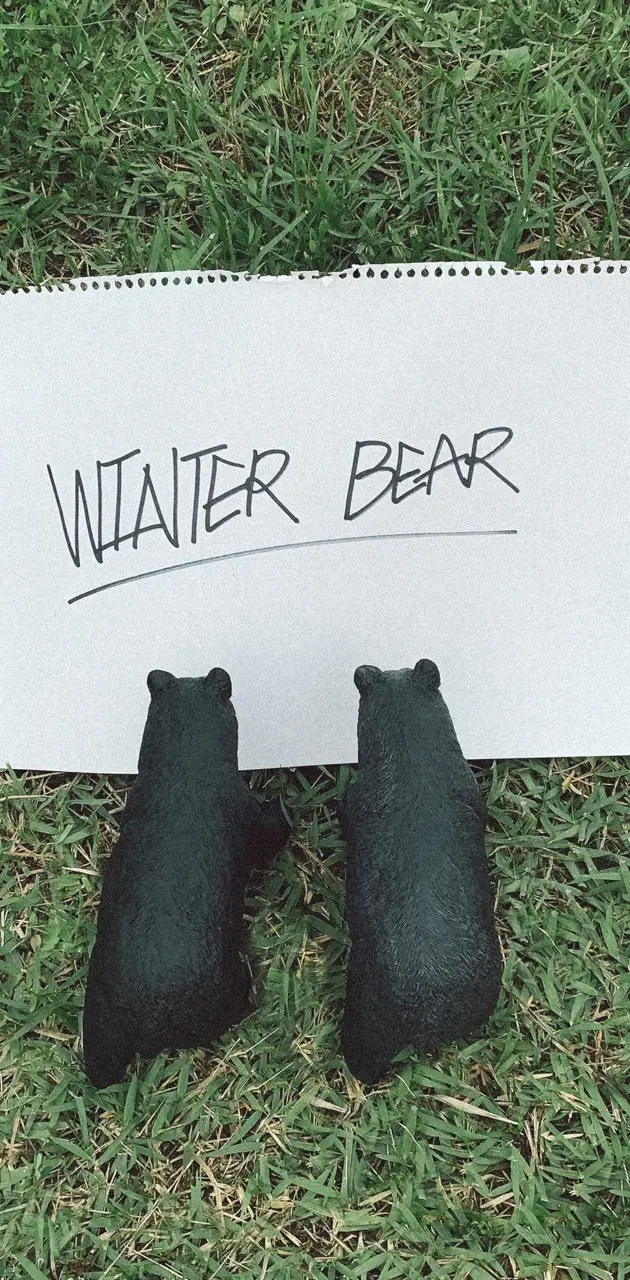 BTS V - Winter Bear