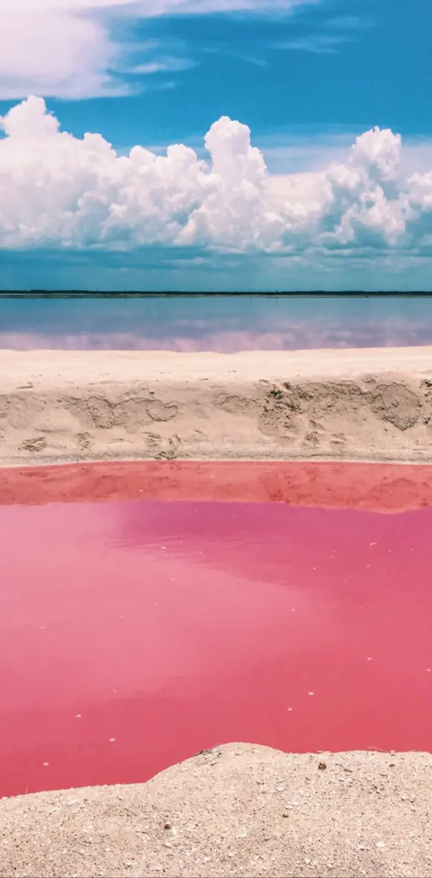 Pink and Blue Beach