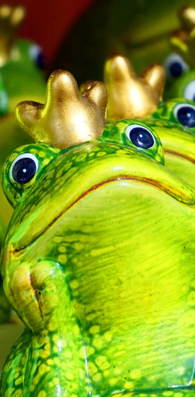 Frog Prince 4