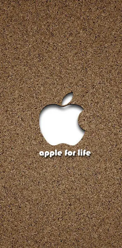 Apple On Board